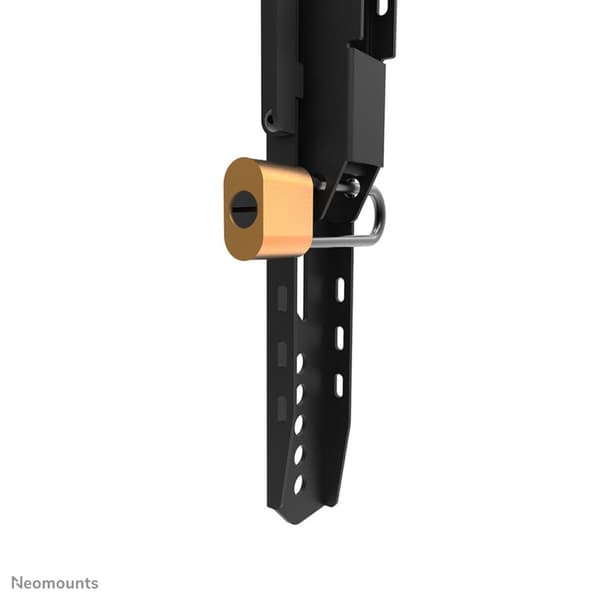 TV-holder Neomounts WL30-750BL14 32" 75" 100 kg