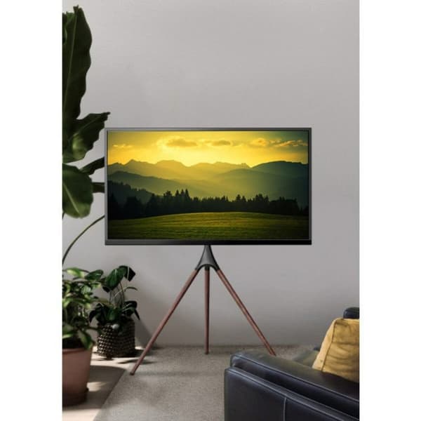 TV-stativer til gulv Techly 105209 65" 32 kg