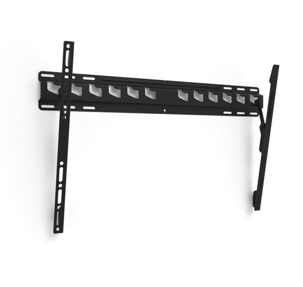 Vogels, MA4010-A1