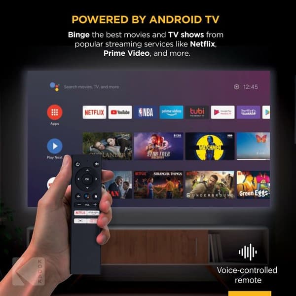 Fixering videospelare - support för videospelare Kodak - RODPJSHD9B