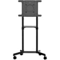 Miniatyrbild 1 av 3: Fixation tv - support tv - väggmontering för tv Startech - MBLTVSTNDEC - TV-vagn för 37-70'' med hjul