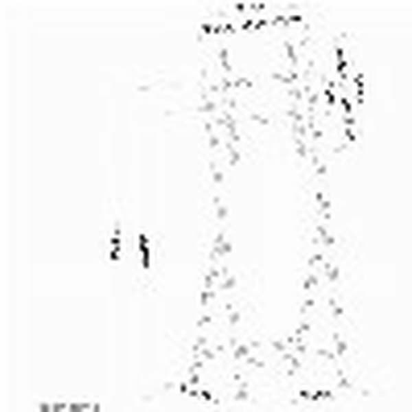 TV-Montering Neomounts PLASMA-M1000 32" 55" 35 kg