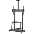 Miniatyrbild 2 av 6: Support TV Mixte - AISENS - Standard - Multikolor - 147 cm - Skärmar 32-55 tum