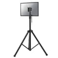 Miniatyrbild 2 av 3: Pied - NEWSTAR - NS-FS200BLACK - Svart - 10"-32" - Max. belastning 15 kg