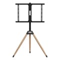 Miniatyrbillede 2 af 4: TV-holder GEMBIRD TVS-75ST-01