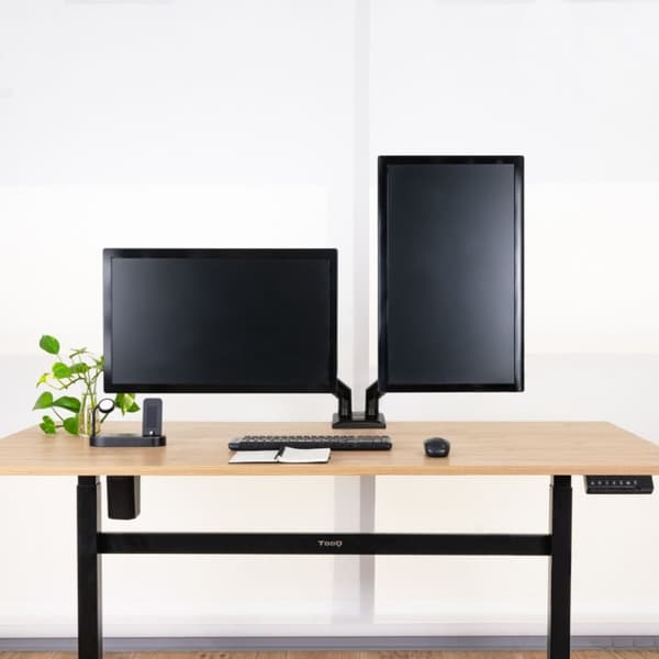 TV-holder TooQ DB1434TNR-B 13" 20 kg