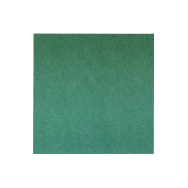 Akustinen seinäpaneeli PET-huopa - 100x100 cm - Vihreä