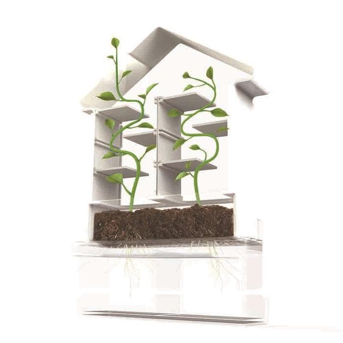 Bygg en växtlabyrint - Lär barn om botanik