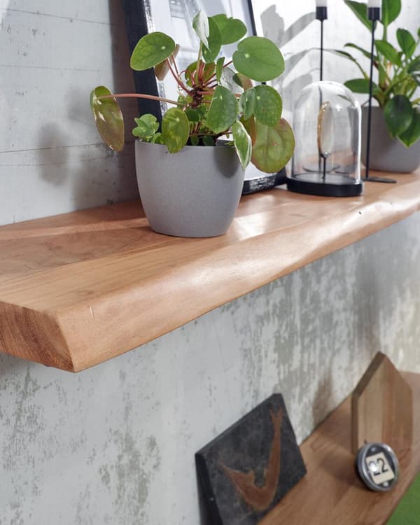 Rootz Wall Shelf Solid Acacia Wood with Tree Edge Design Floating