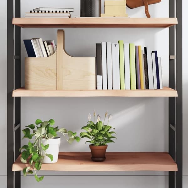 vidaXL væghylde 100x60x(2-4) cm ubehandlet massivt egetræ