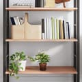 Pikkukuva 1 / 8: vidaXL Seinähylly vaaleanruskea 100x60x2 cm käsitelty täystammi -  Seinähyllyt