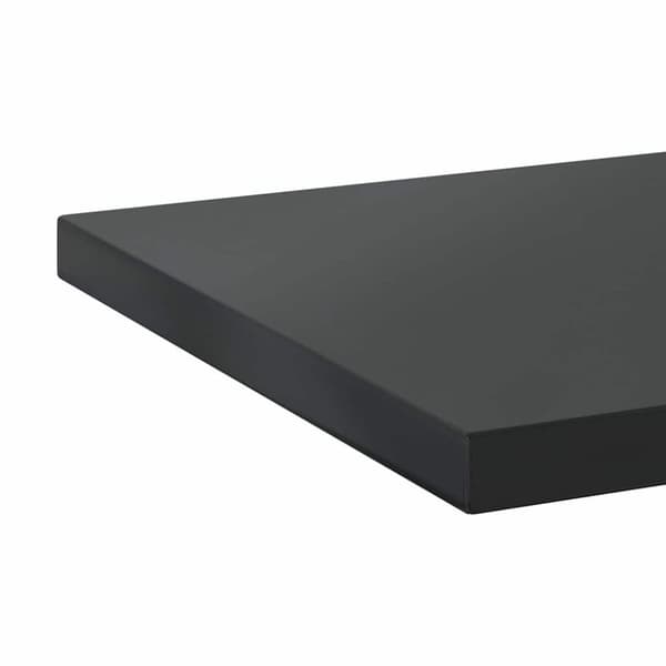 vidaXL Vegghyller 2 stk 100x30x3 cm svart rustfritt stål