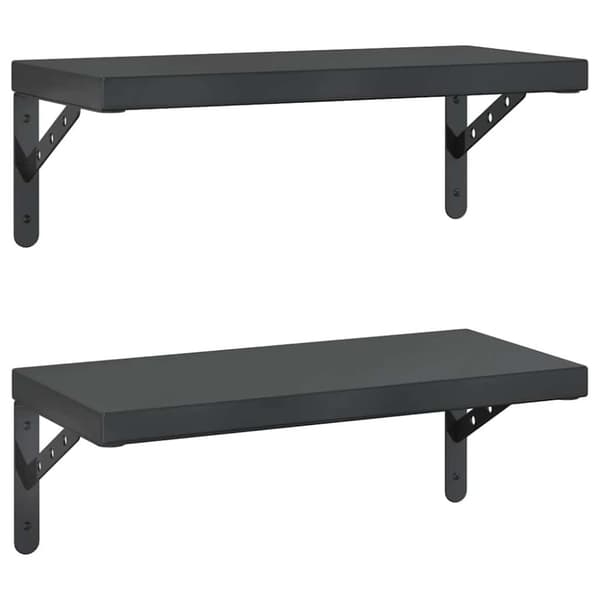 vidaXL Vegghyller 2 stk 50x23,5 cm svart rustfritt stål