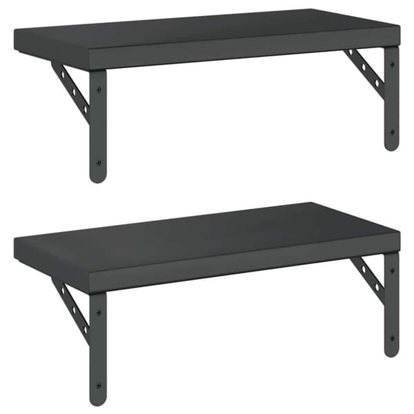 vidaXL Vegghyller 2 stk 50x23,5 cm svart rustfritt stål