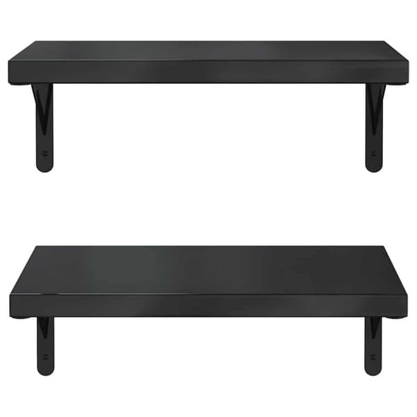 vidaXL Vegghyller 2 stk 50x30 cm svart rustfritt stål