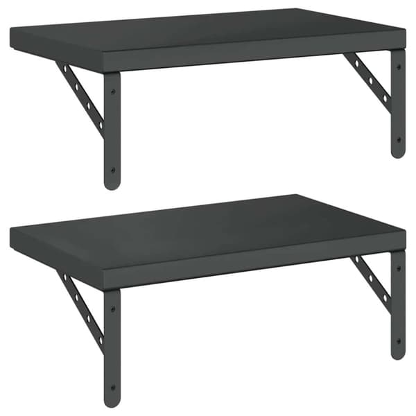 vidaXL Vegghyller 2 stk 50x30 cm svart rustfritt stål
