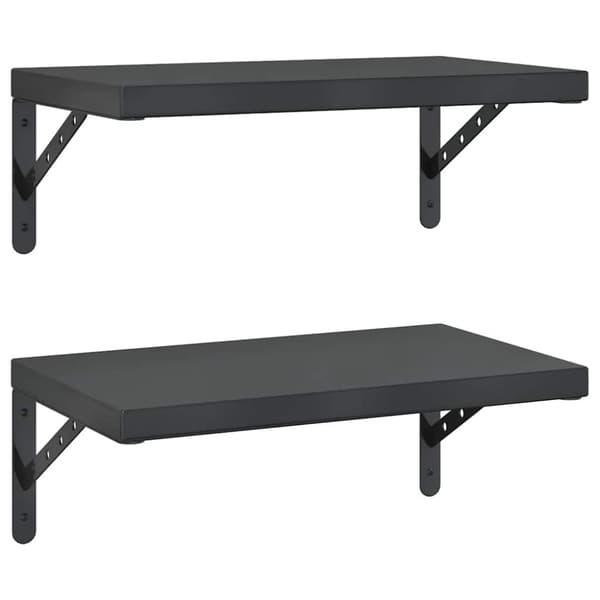 vidaXL Vegghyller 2 stk 50x30 cm svart rustfritt stål
