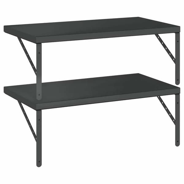 vidaXL Vegghyller 2 stk 75x40 cm svart rustfritt stål