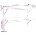 Miniatyrbilde 10 av 10: vidaXL Vegghyller 2 stk 75x40 cm svart rustfritt stål