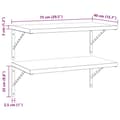 Pikkukuva 10 / 10: vidaXL Seinähyllyt 2 kpl 75x40 cm hopea ruostumaton teräs