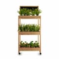 Miniatyrbillede 2 af 4: Hylder Ibergarden 3 Hylder 41 x 159 x 69 cm - Hvid