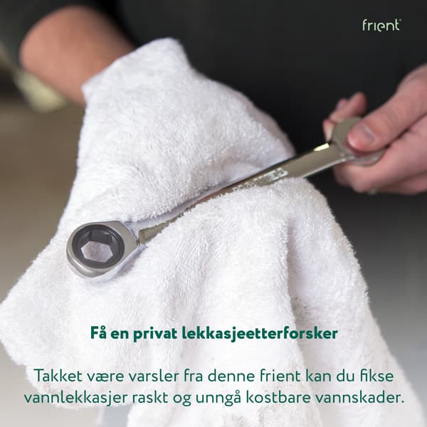 Frient - Smart Water Leak Detector Probe