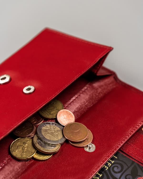 Různobarevná dámská kožená peněženka na patentku - Peterson