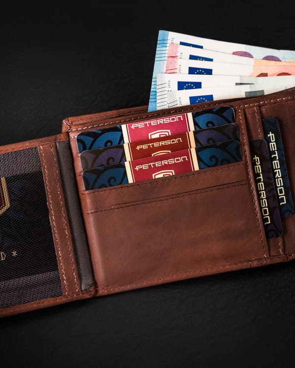 Pánská kožená peněženka na karty s ochranou RFID Protect - Peterson