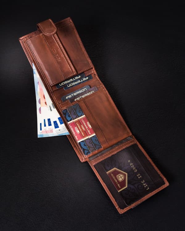 Pánská kožená peněženka na karty s ochranou RFID Protect - Peterson