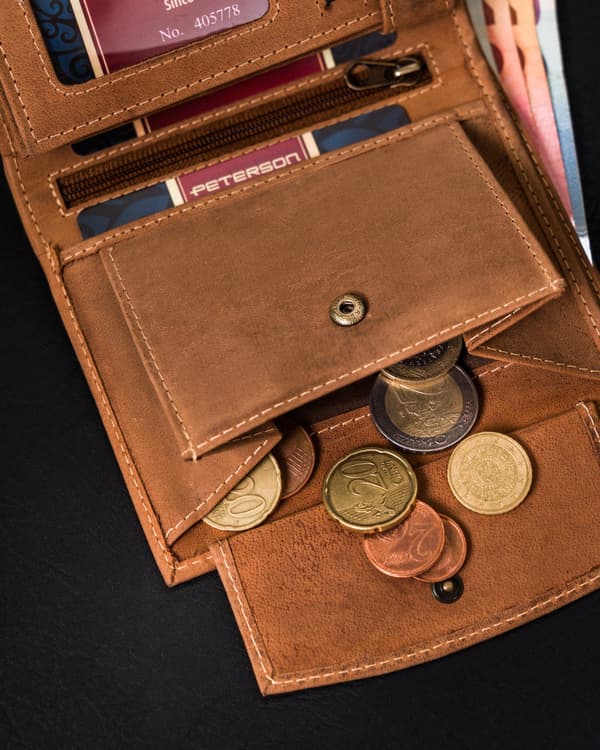 Pánská kožená peněženka se systémem RFID Protect - Peterson