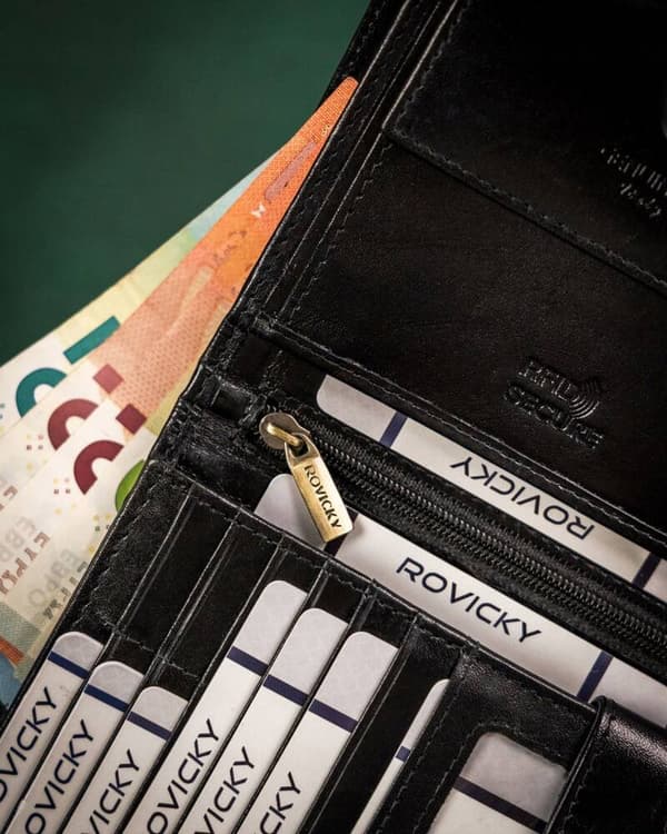 Kožená, velká pánská peněženka s RFID systémem - Rovicky