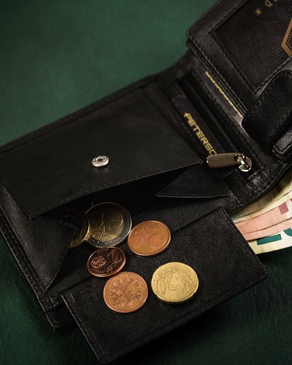 Pánská kožená peněženka s RFID Protect - Peterson