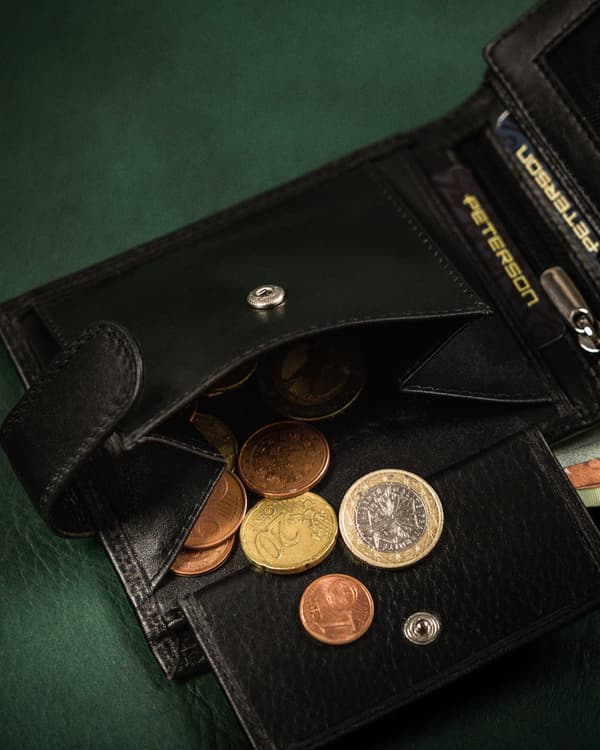 Pánská peněženka na zip se systémem RFID Protect - Peterson