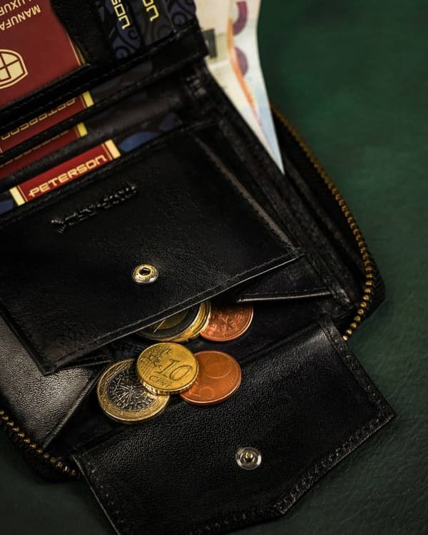 Velká, kožená pánská peněženka na zip - Peterson