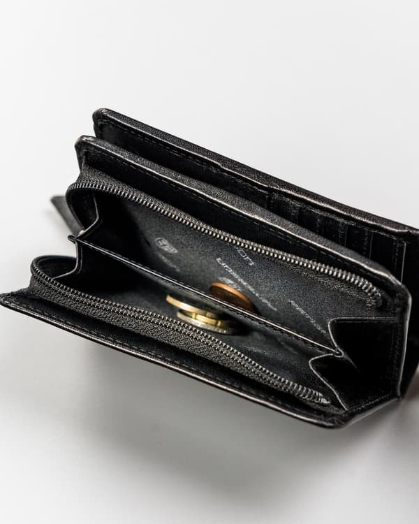 Velká, kožená dámská peněženka s RFID systémem - Peterson