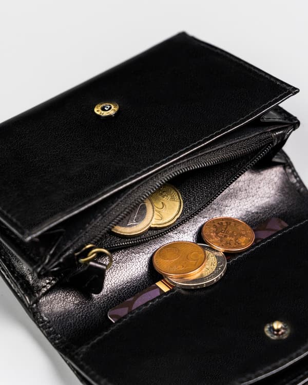 Klasická, kožená dámská peněženka na patentku - Peterson