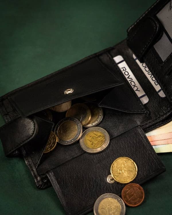 Velká, kožená pánská peněženka na patentku - Rovicky