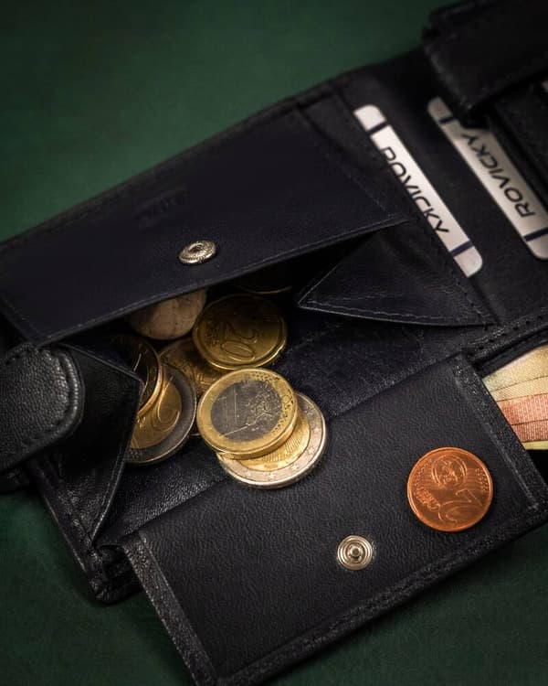 Velká, kožená pánská peněženka na patentku - Rovicky