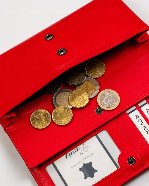 Elegantní, velká dámská peněženka z ekologické kůže - 4U Cavaldi