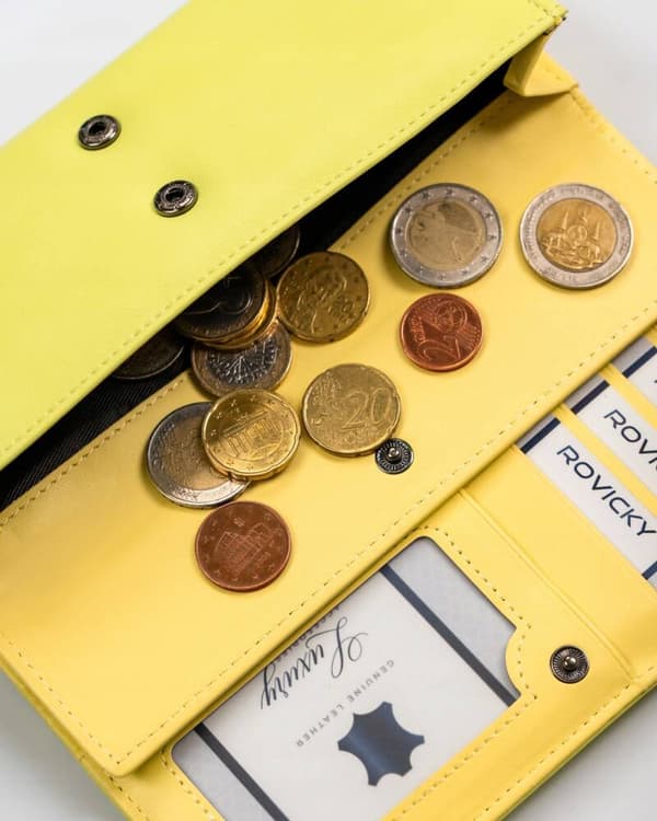 Elegantní, velká dámská peněženka z ekologické kůže - 4U Cavaldi