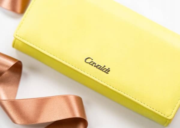 Elegantní dámská peněženka s háčkem a západkou - 4U Cavaldi