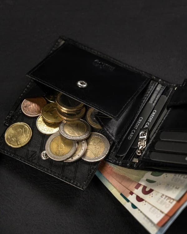 Velká, kožená pánská peněženka bez zapínání - Rovicky