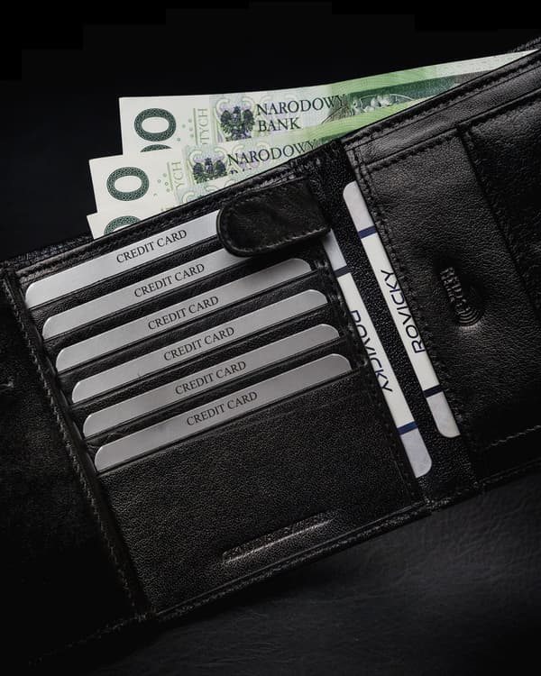 Prostorná pánská peněženka z přírodní lícové kůže s RFID ochranou - Rovicky