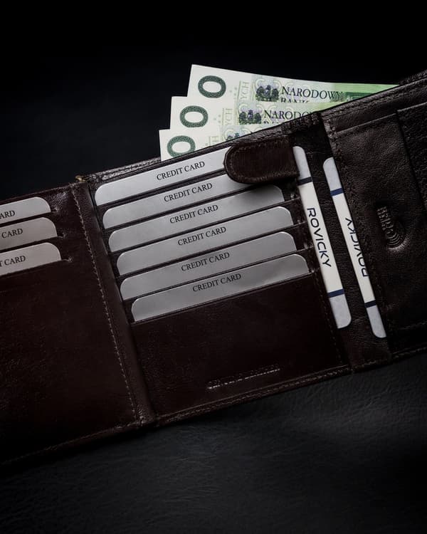 Prostorná pánská peněženka z přírodní lícové kůže s RFID ochranou - Rovicky