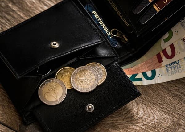 Značková pánská peněženka z přírodní kůže - Peterson