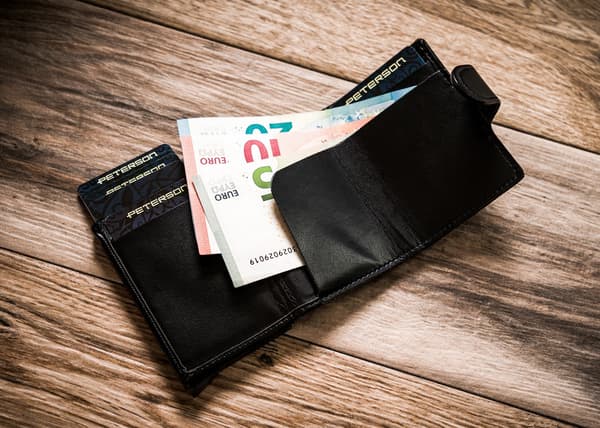 Elegant pung med kortføder og RFID-beskyttelse - Peterson