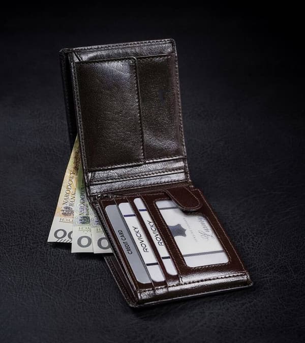 Kožená pánská peněženka s RFID systémem - Rovicky