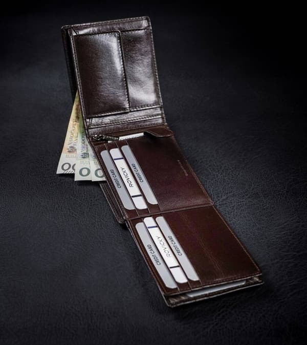 Kožená pánská peněženka s RFID systémem - Rovicky