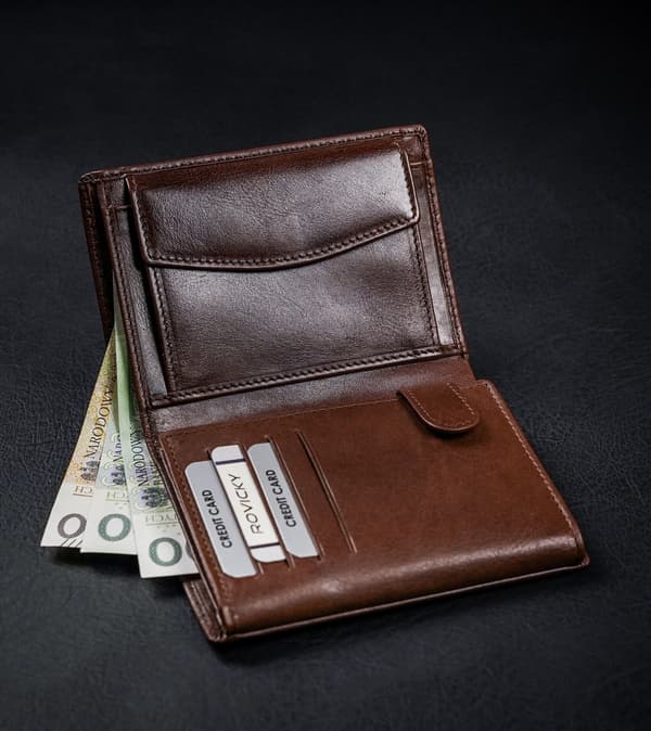 Kožená pánská peněženka s RFID ochranou - Rovicky