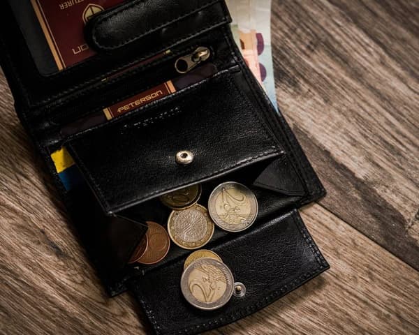 Pánská kožená peněženka ve vertikální orientaci s RFID systémem - Peterson